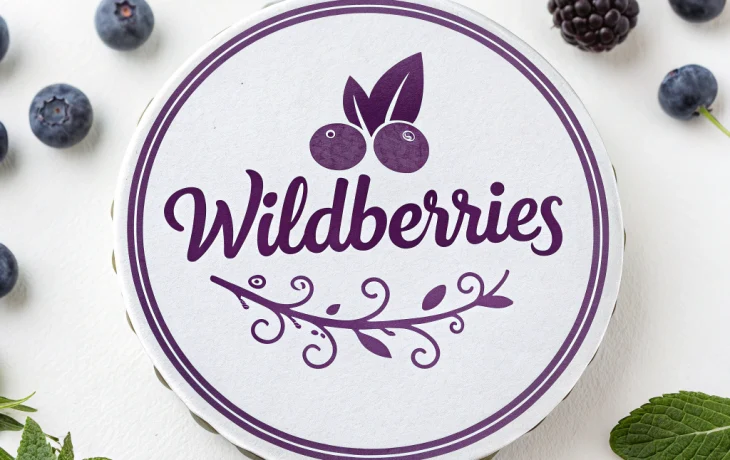 Власти вновь обсудят с жителями Новинок проект склада Wildberries Власти вновь обсудят с жителями Новинок проект склада Wildberries